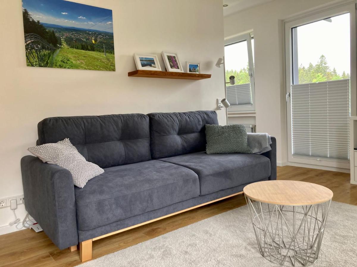 Hahnenklee Charme - Moderne Neue Ferienwohnung Mit 2 Balkons Гослар Екстер'єр фото