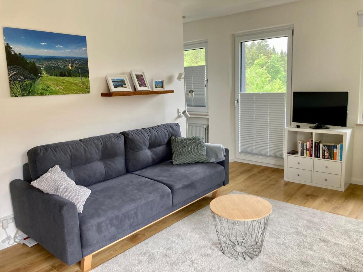 Hahnenklee Charme - Moderne Neue Ferienwohnung Mit 2 Balkons Гослар Екстер'єр фото